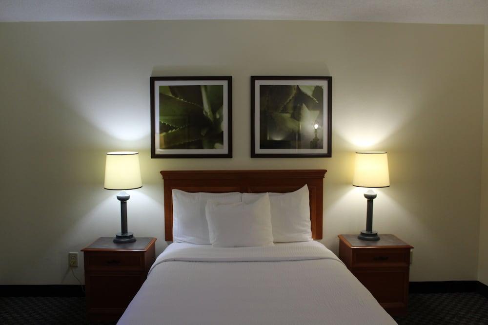 Отель La Quinta By Wyndham Tampa Brandon West Heartland Экстерьер фото